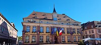 Hotel de Viele