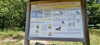 De dieren die hier leven...