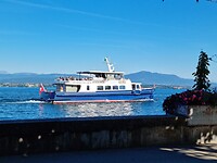 Mijn veerboot voor morgen ochtend