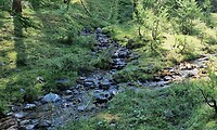 Gespleten rivier