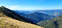 .........