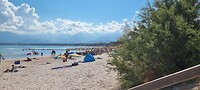 Calvi