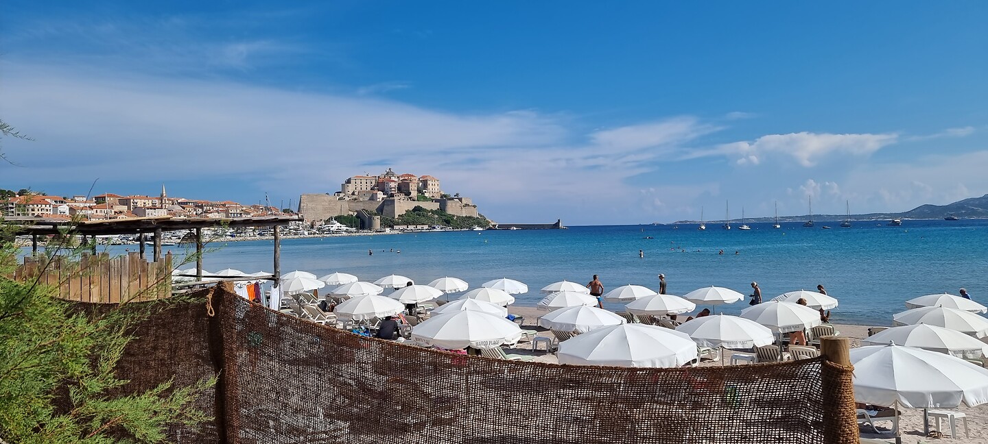 Calvi