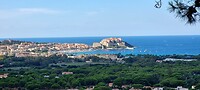 Calvi