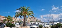 Calvi haven....