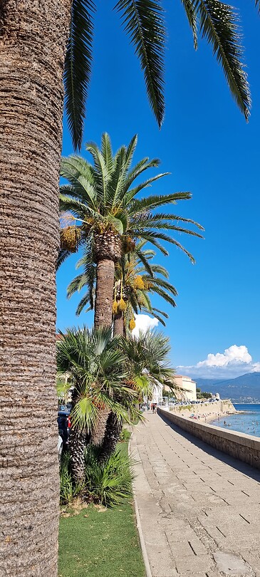 Ajaccio