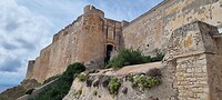 Citadel