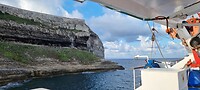 Bonifacio