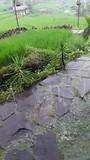 20170421_091224