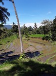 20170422_055229