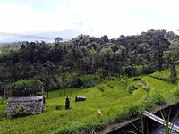 20170422_052548