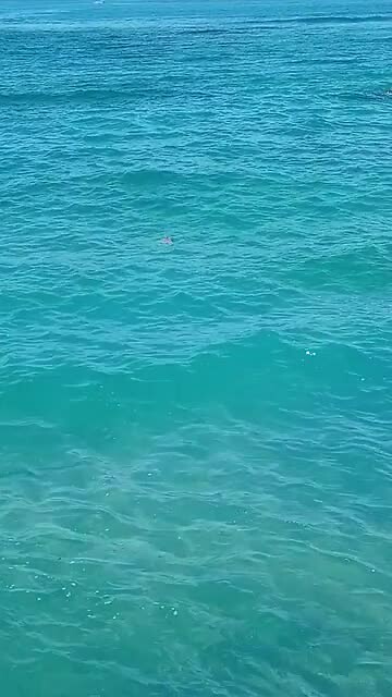20240501_105728