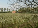 Appelboomgaard