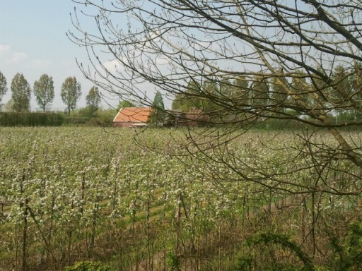 Appelboomgaard