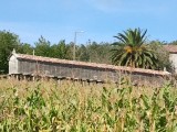 San Martino