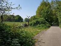 Calfven