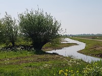 Hoogerheide