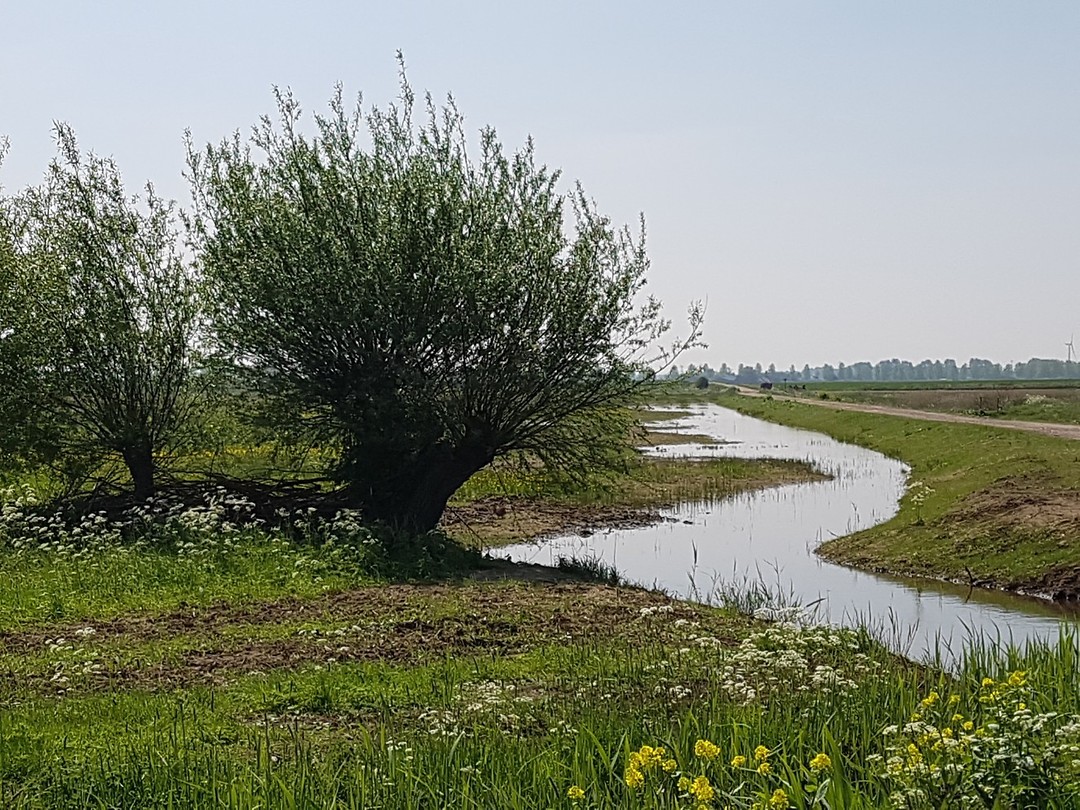 Hoogerheide Foto Een Blokske Om Naar Lissabon