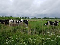 Altijd nieuwsgierig