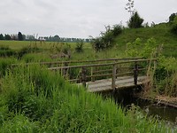 Het pad