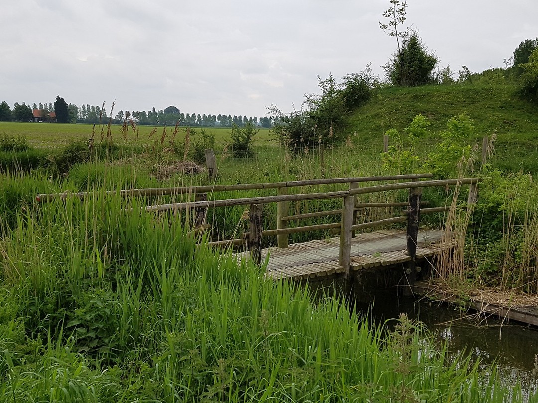 Het pad