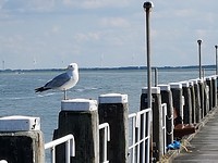 Loodsensteiger