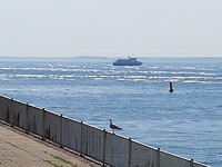 De veerboot