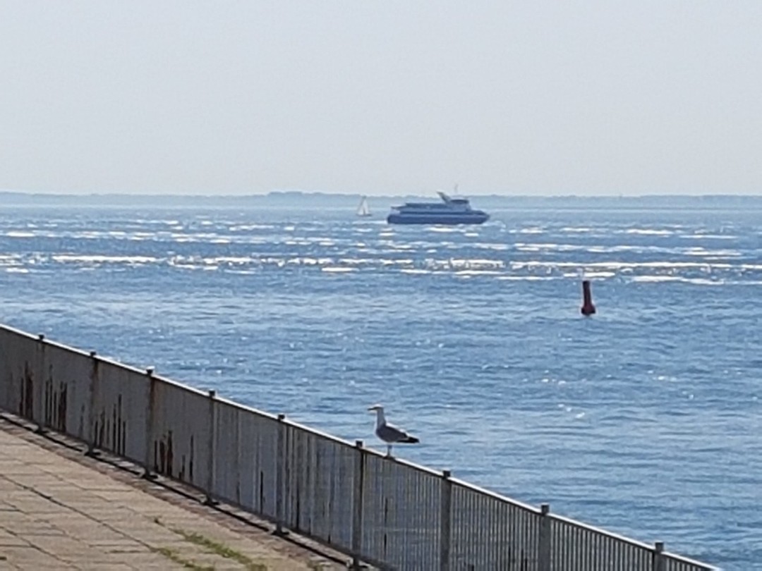 De veerboot