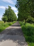 Het pad