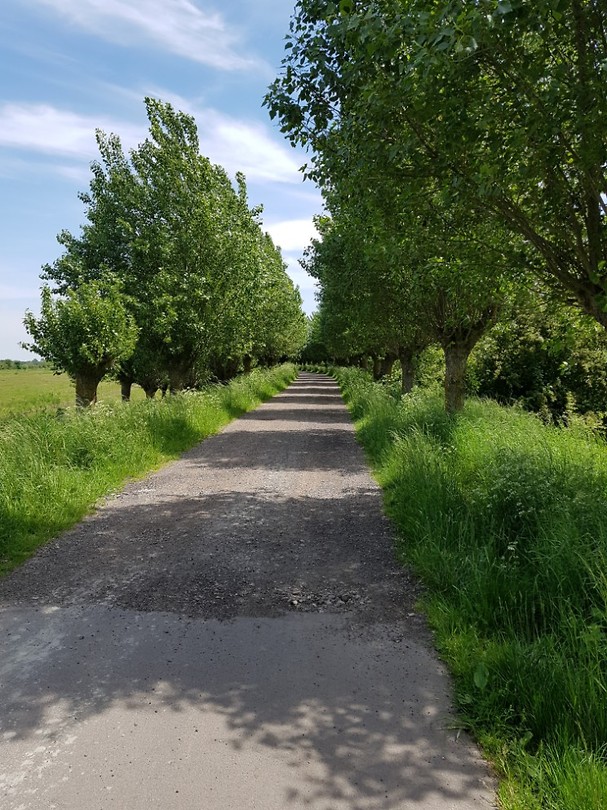 Het pad