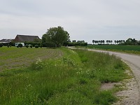Groede