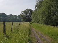 Condé