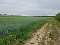 Mijn pad...