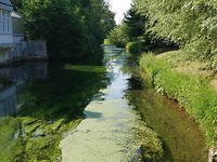 La Selle