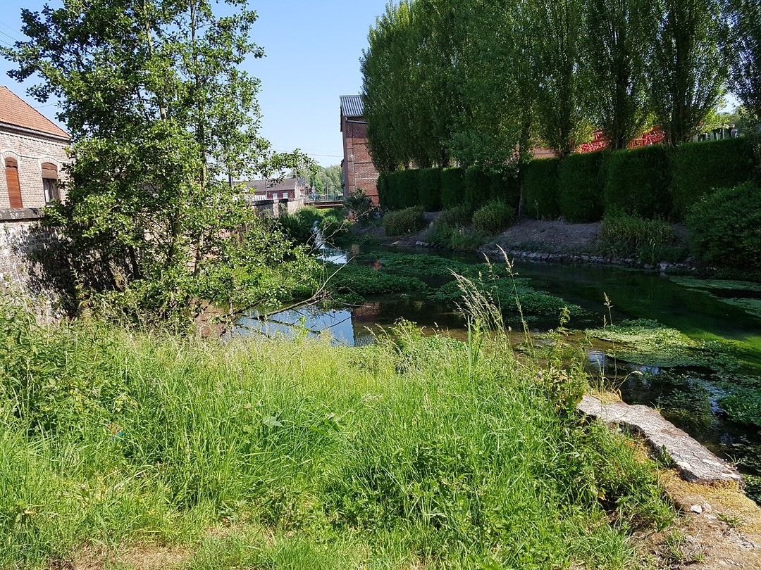 La Selle