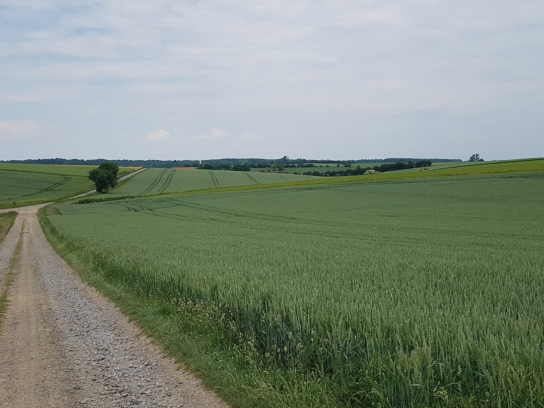 Onderweg