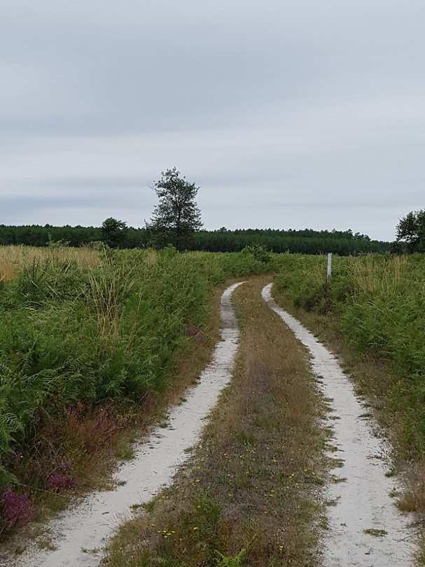 Onderweg