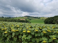 Uitzicht...