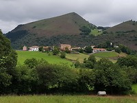 Bidarray