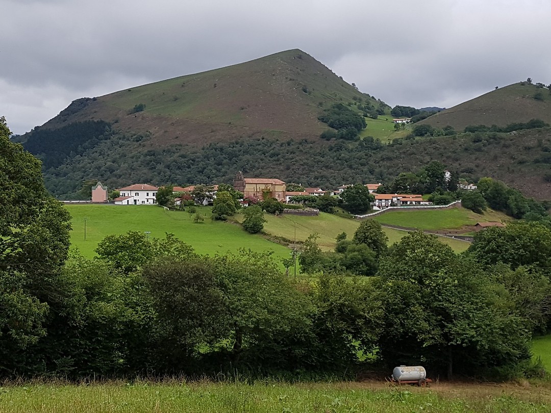 Bidarray