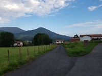 Bidarray
