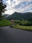 Bidarray