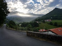 Bidarray