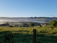 Güemes