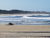 Âncora