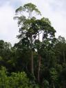 p5030016