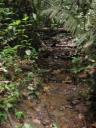 p5040291