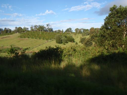 p5200293