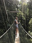 Canopy walk Jacqueline