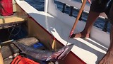 binnen halen van de Barracuda
